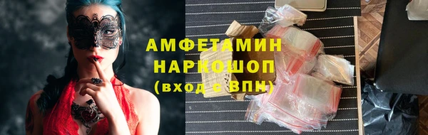 mix Инта