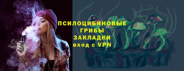 mix Инта