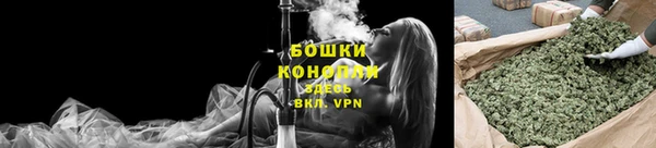 mix Инта