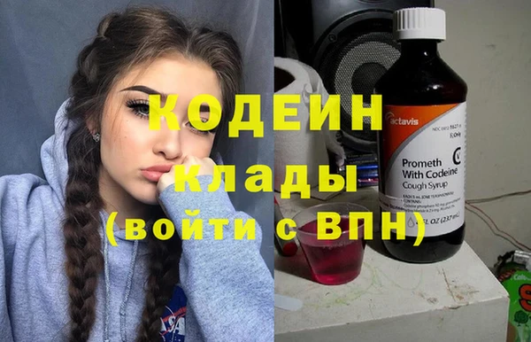 mix Инта
