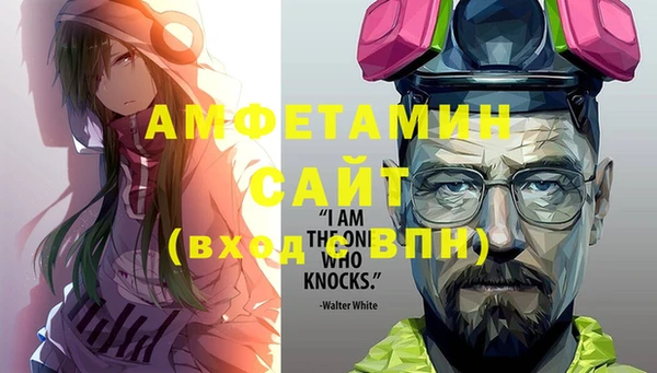 mix Инта