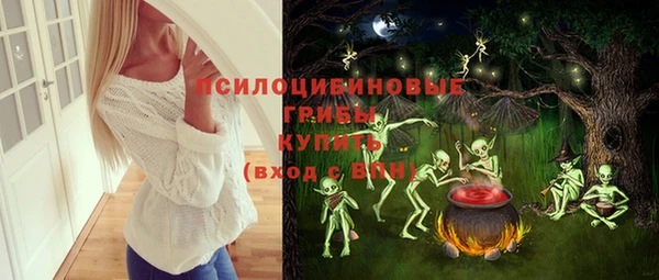 гидра Иннополис