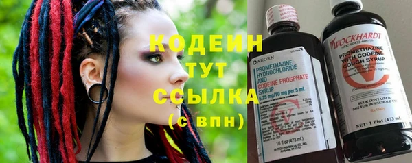дурь Инсар