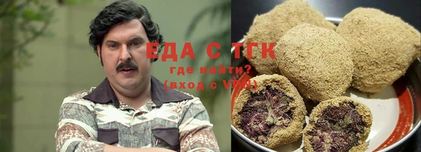 дурь Инсар