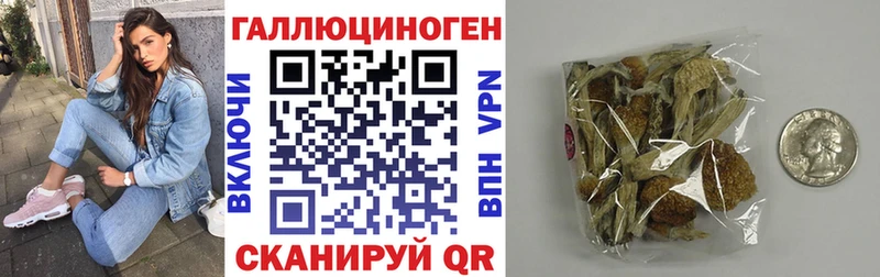 Псилоцибиновые грибы Psilocybe  Купить где  Ленск 